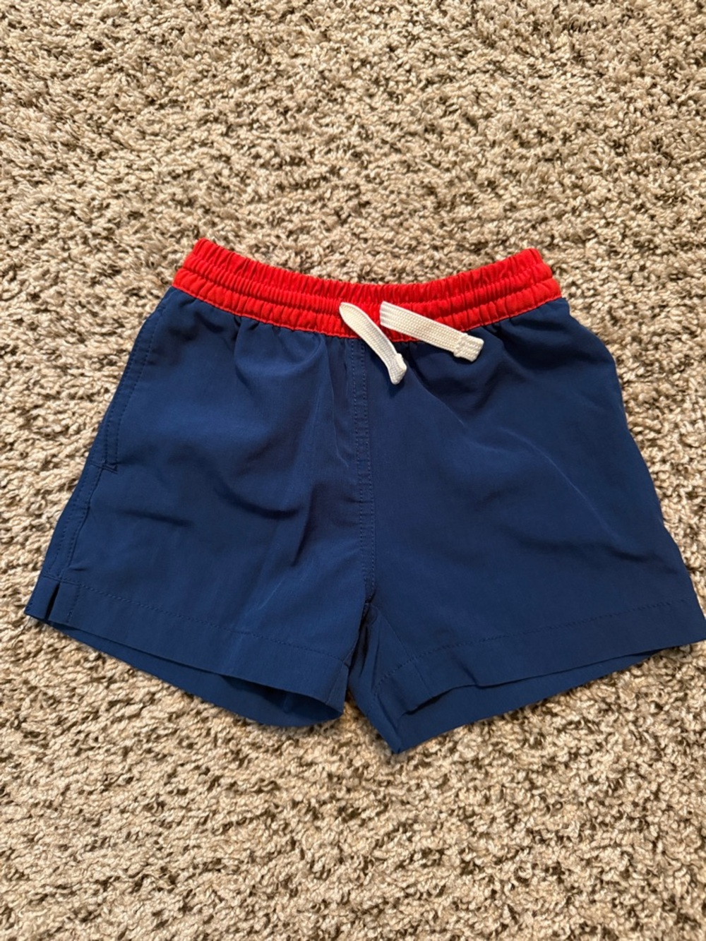 Chubbies Swim Trunks